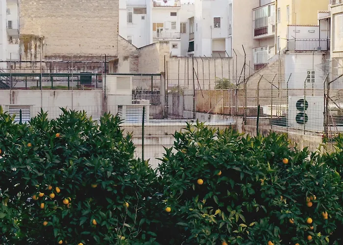 2 Bedroom * Bari